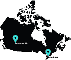 Map of Canada highlighting Camrose, AB and York, ON